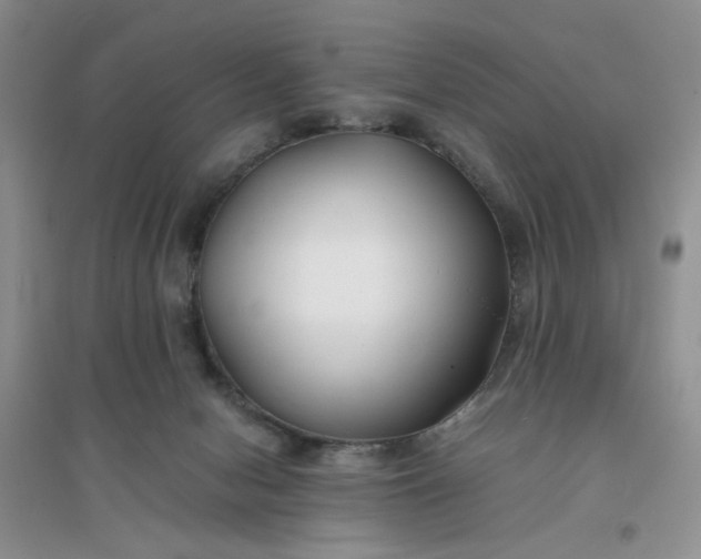 X0000096380078200802071523