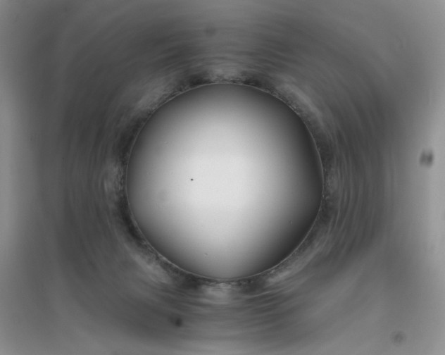 X0000096380079200802071523