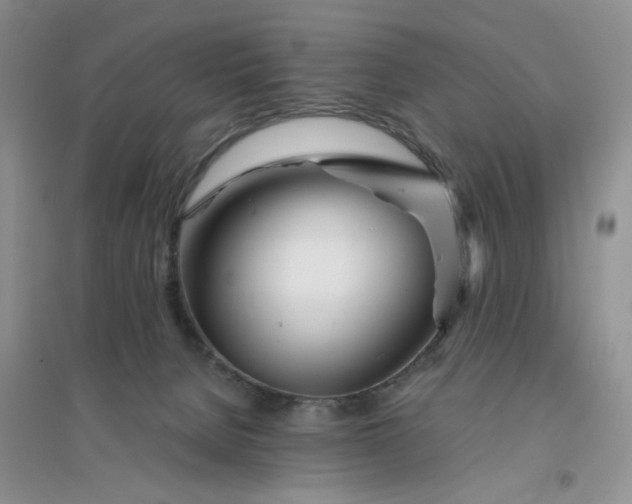 X0000096380080200802071523