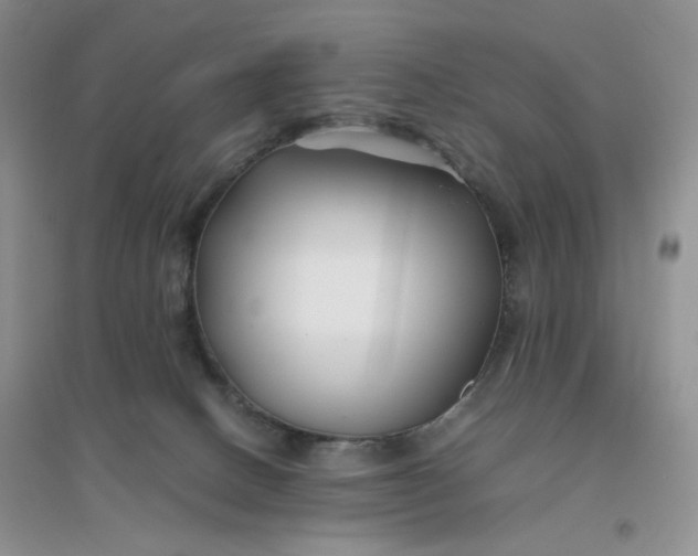 X0000096380082200802071523