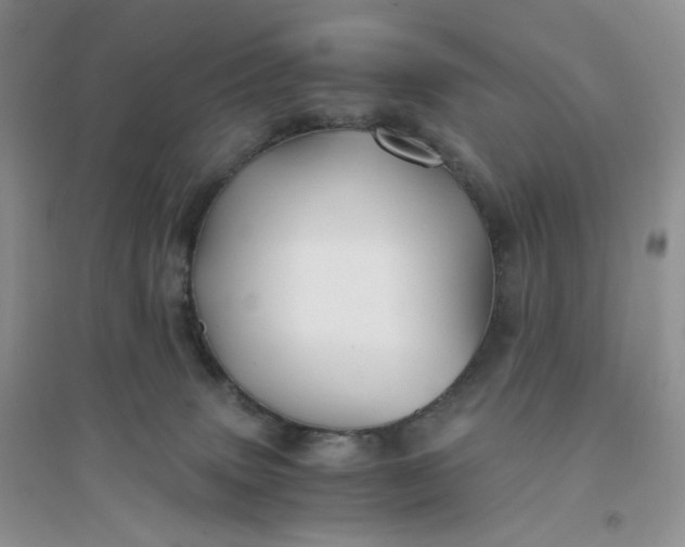 X0000096380083200802071523