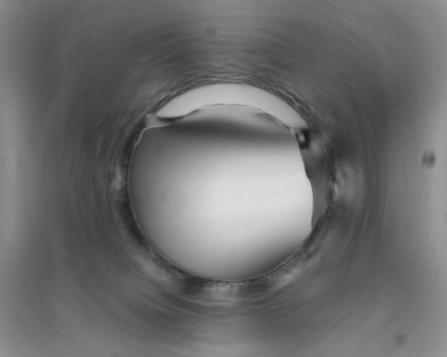 X0000096380084200802071523