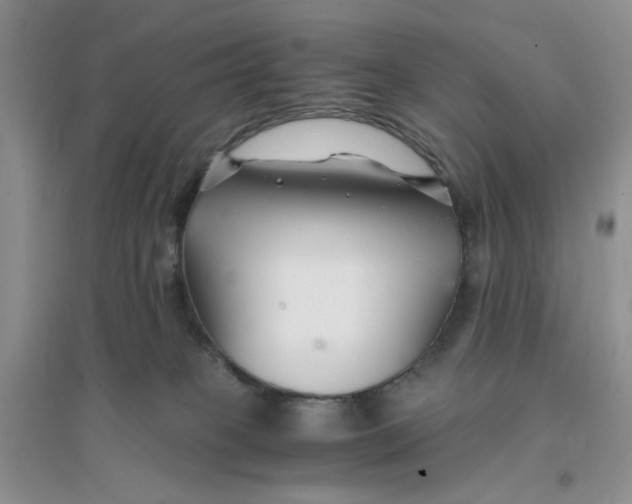 X0000096380085200802071523