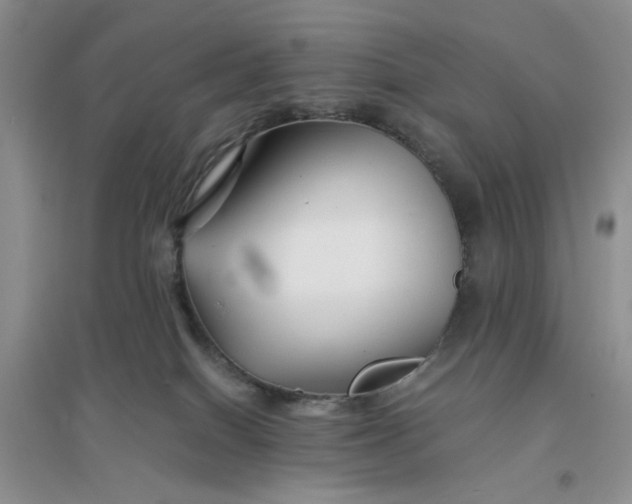 X0000096380086200802071523