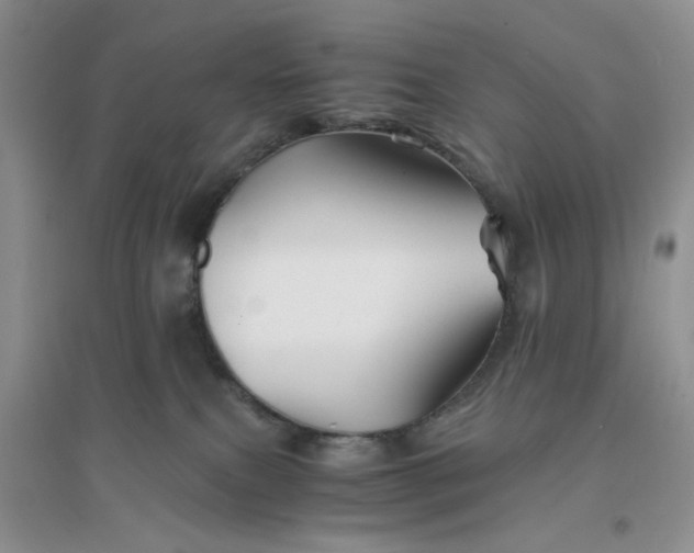 X0000096380087200802071523