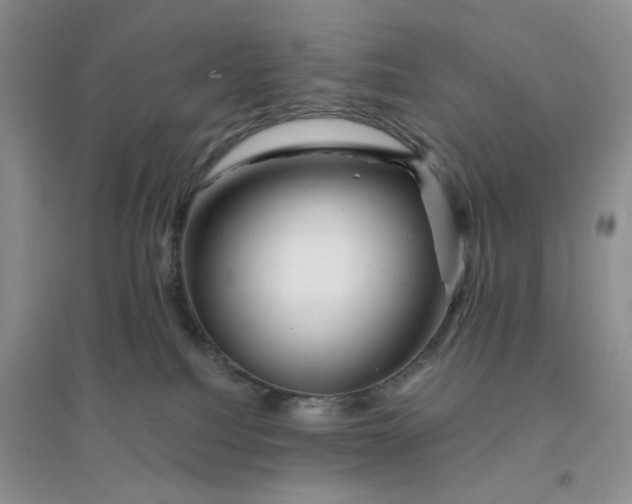 X0000096380088200802071523