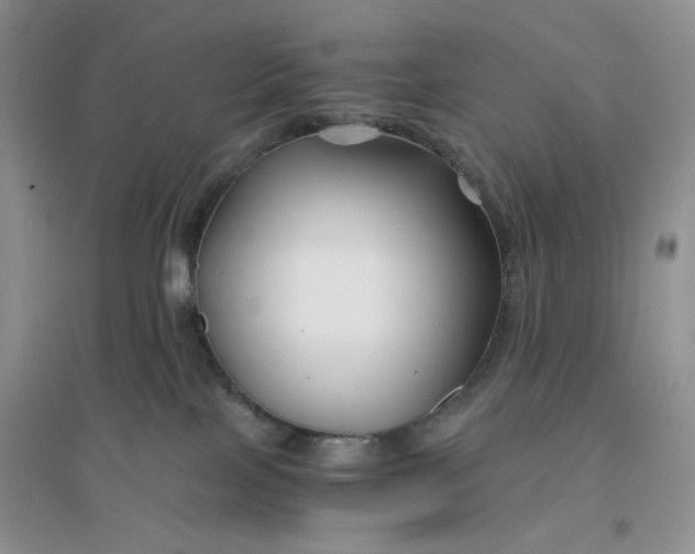 X0000096380089200802071523