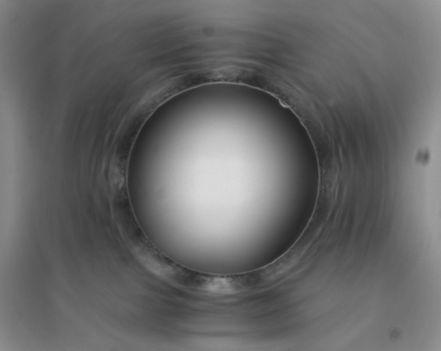 X0000096380091200802071523