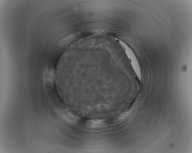 X0000096380093200802071523