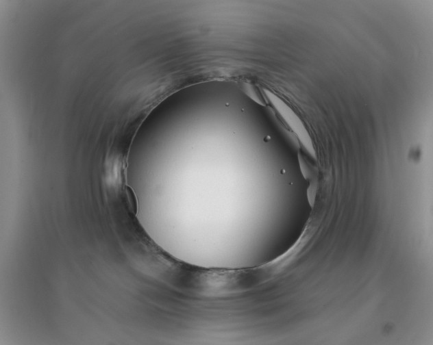 X0000096380094200802071523