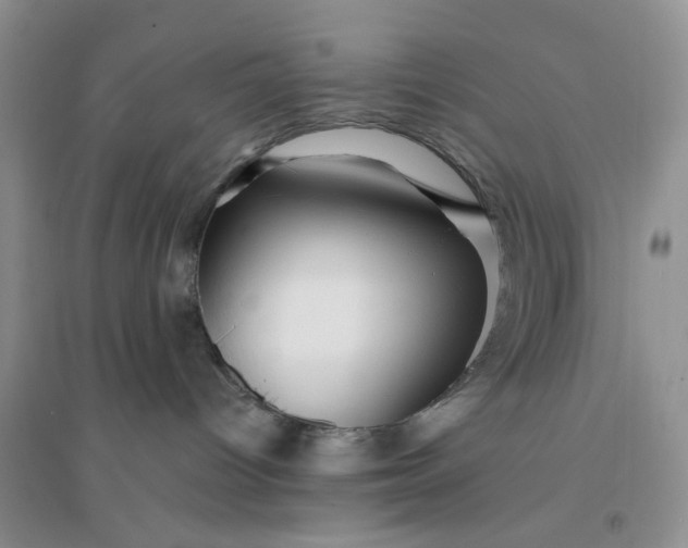 X0000096380096200802071523