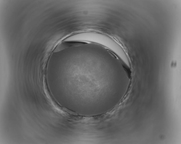 X0000096380097200802071523