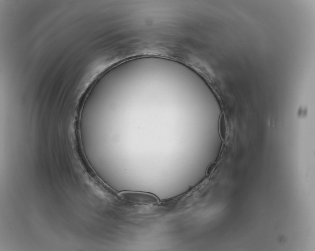 X0000096380098200802071523