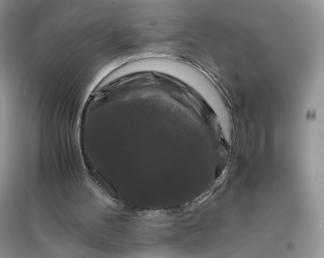 X0000096380100200802071523