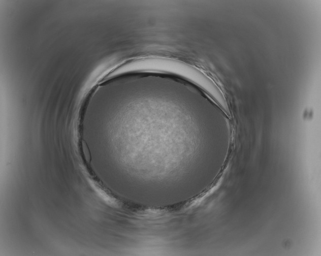 X0000096380101200802071523