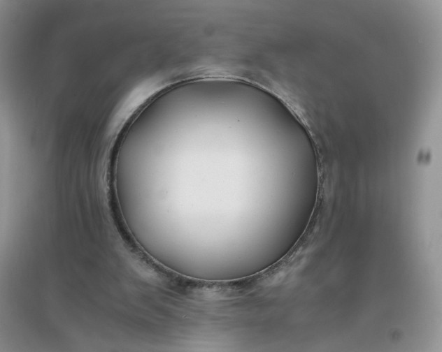 X0000096380103200802071523