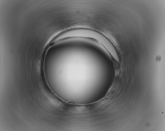 X0000096380108200802071522