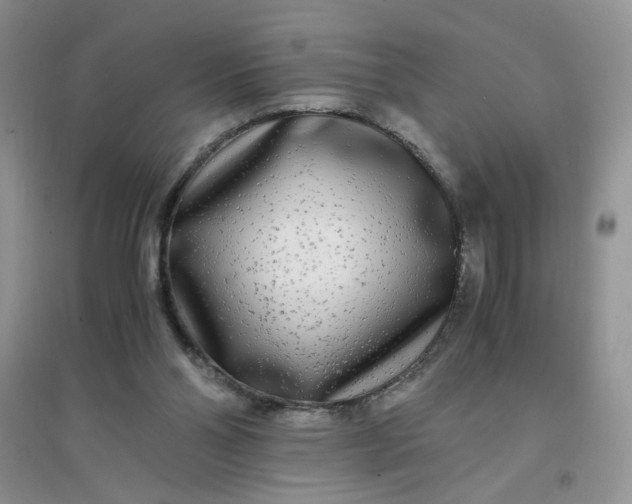 X0000096380110200802071522