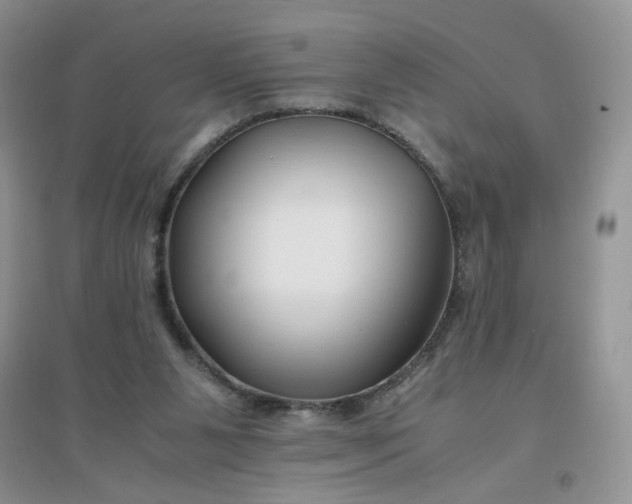 X0000096380111200802071522