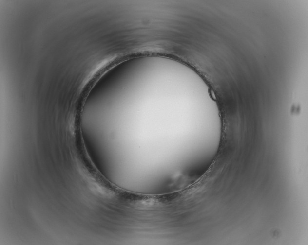 X0000096380112200802071522