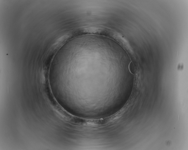 X0000096380114200802071522