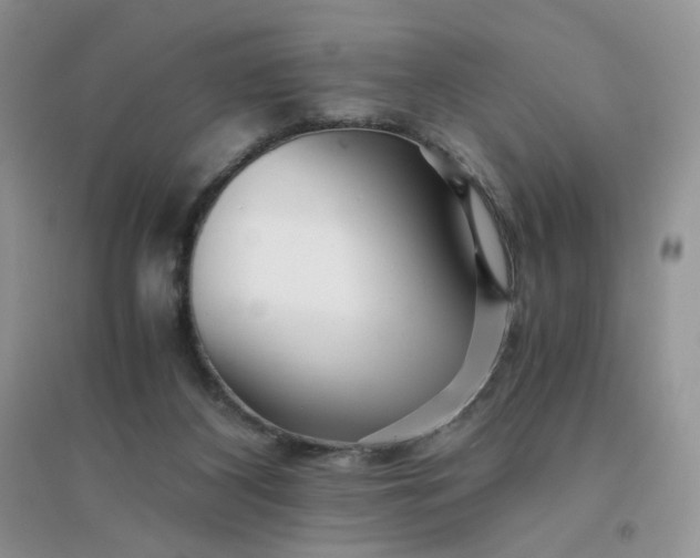 X0000096380116200802071522