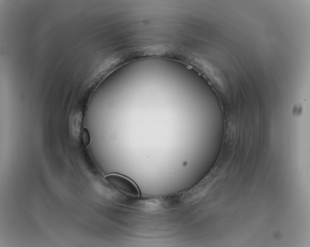 X0000096380118200802071522