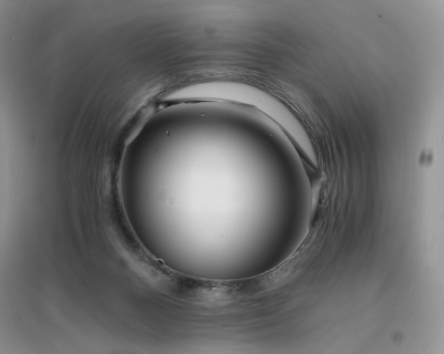 X0000096380120200802071522