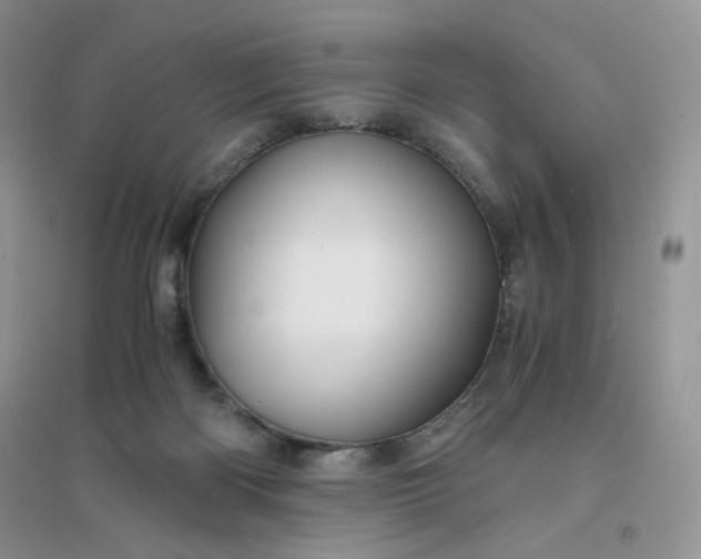 X0000096380122200802071522