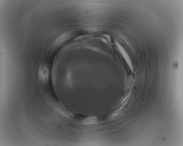 X0000096380124200802071522