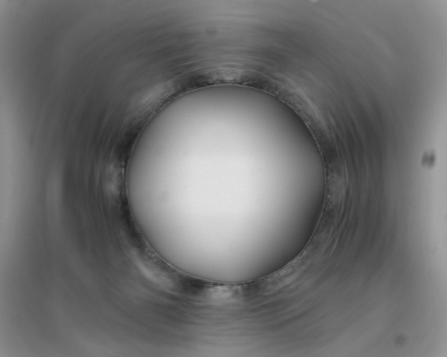 X0000096380126200802071522