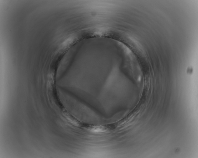 X0000096380127200802071522