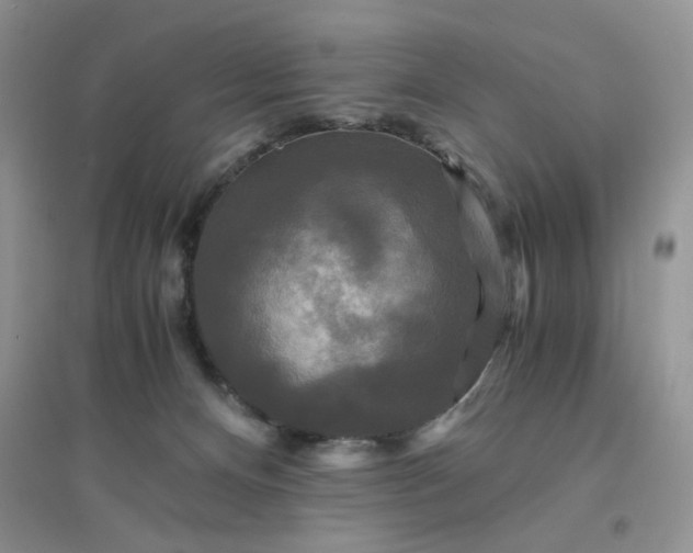 X0000096380128200802071522