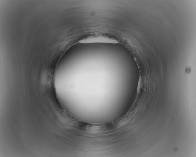 X0000096380129200802071522