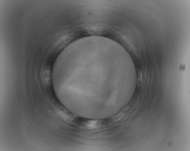 X0000096380130200802071522