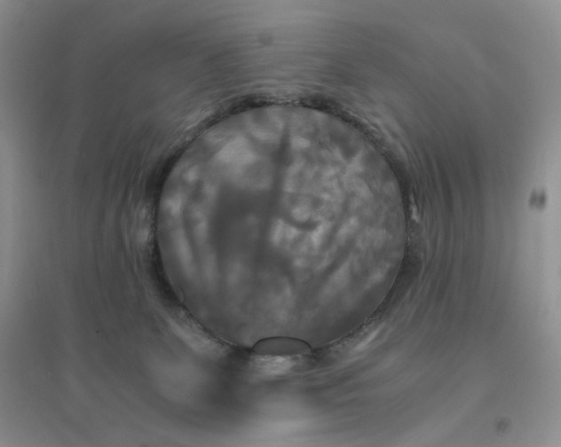 X0000096380131200802071522