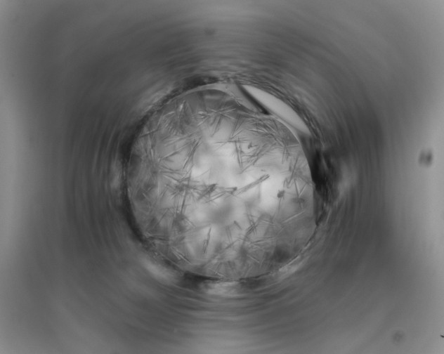 X0000096380132200802071522