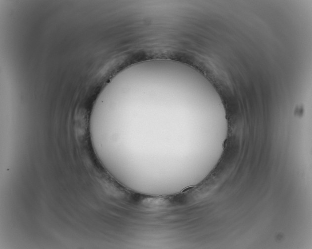 X0000096380133200802071522