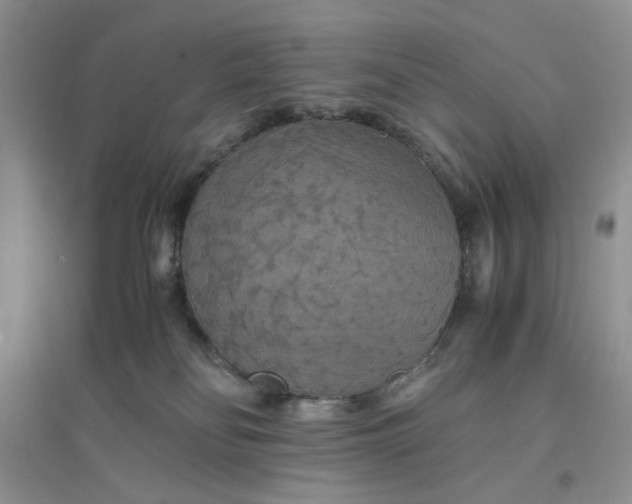 X0000096380134200802071522