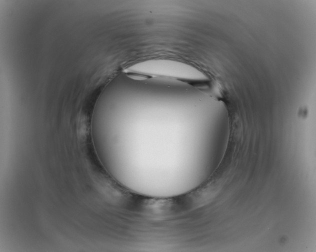 X0000096380135200802071522