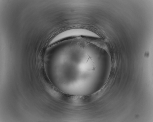 X0000096380136200802071522