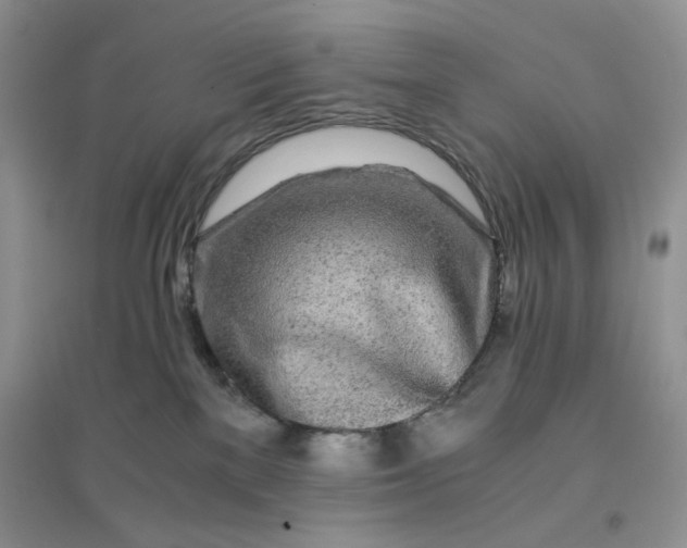 X0000096380137200802071522