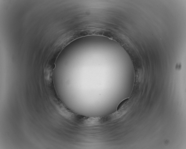 X0000096380138200802071522