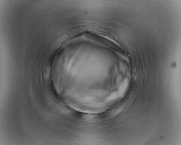 X0000096380139200802071522