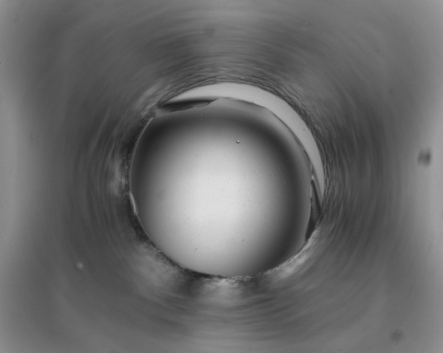 X0000096380140200802071522