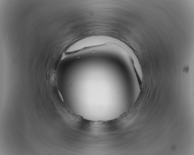 X0000096380141200802071522