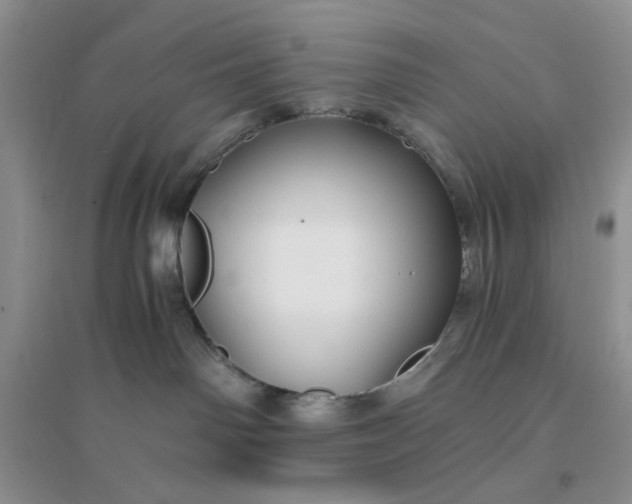 X0000096380142200802071522