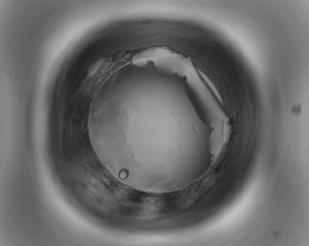 X0000096380143200802071522