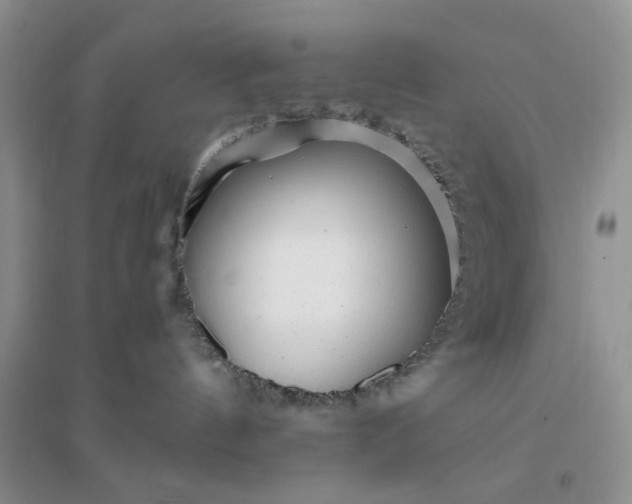 X0000096380144200802071522