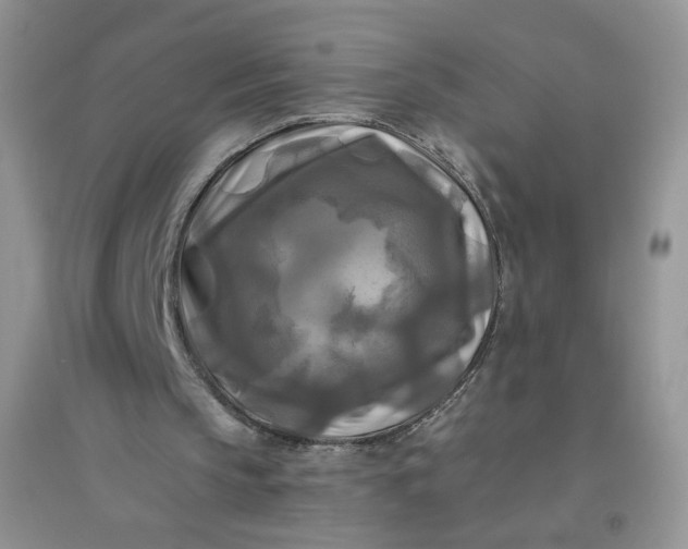 X0000096380145200802071521